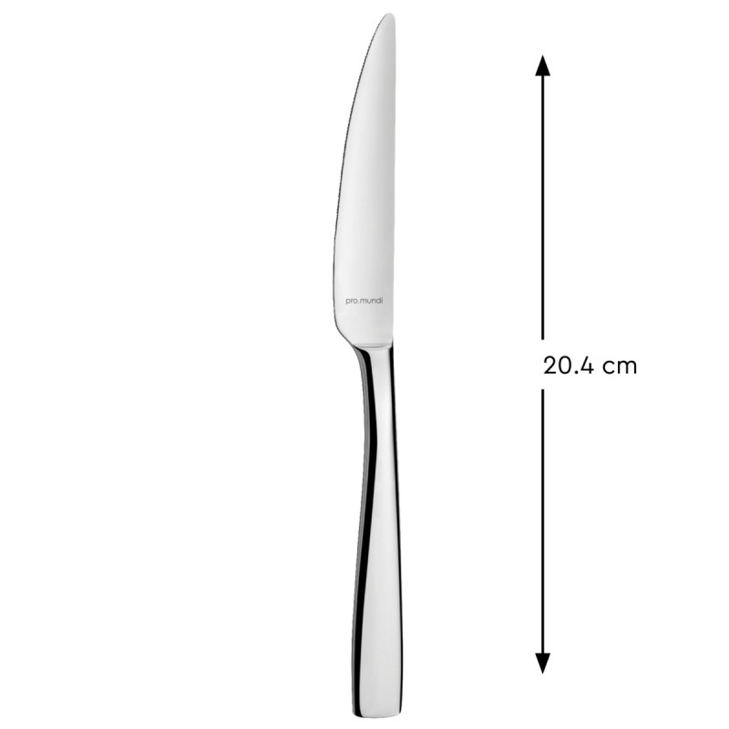 Couteau à poisson inox 18/0 20,4 cm Odyssee Pro.mundi